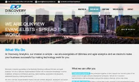 Discovery Analytics website preview